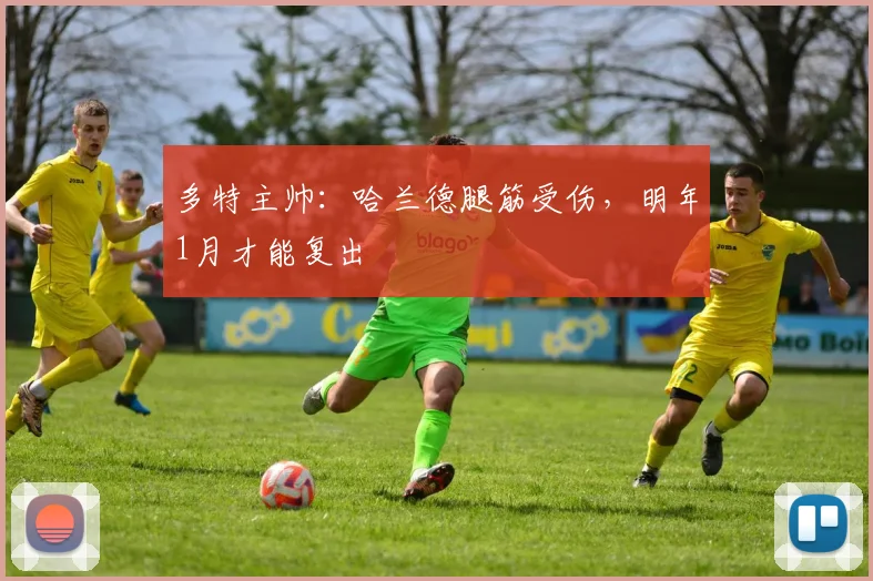 多特主帅：哈兰德腿筋受伤，明年1月才能复出