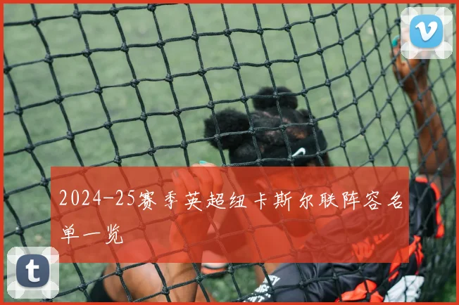 2024-25赛季英超纽卡斯尔联阵容名单一览