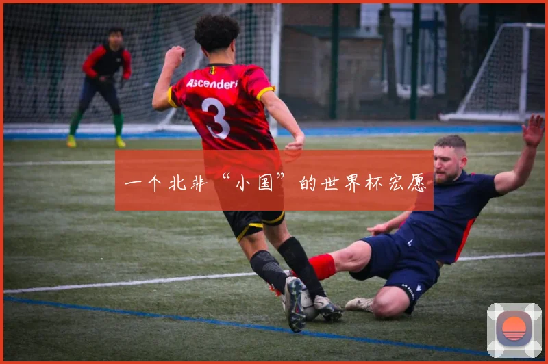 一个北非“小国”的世界杯宏愿